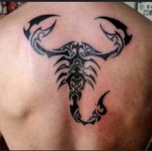 Meet your Posher, Rodolfo